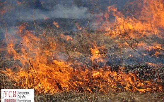 Из-за детских игр с огнем в Одесской области сгорели три тонны сена «фото»
