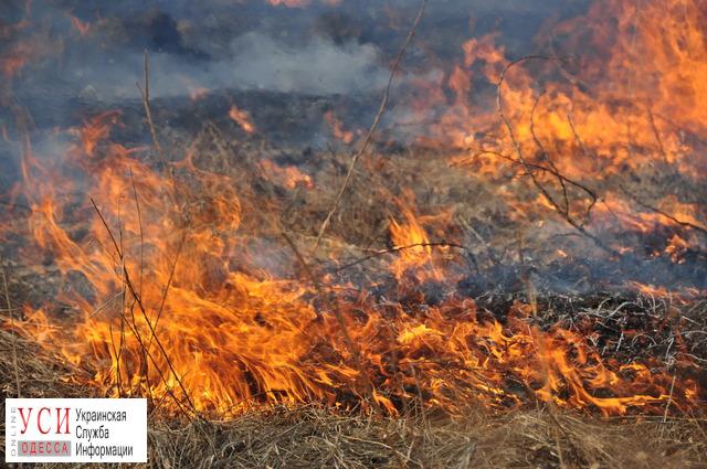 Из-за детских игр с огнем в Одесской области сгорели три тонны сена «фото»