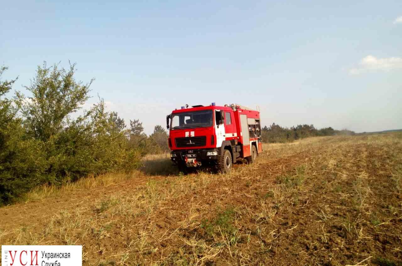 Одесская область: спасатели тушили масштабный пожар в лесу (фото) «фото»