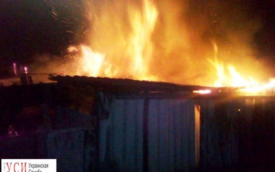 В Балтском районе при пожаре сгорела корова (фото) «фото»