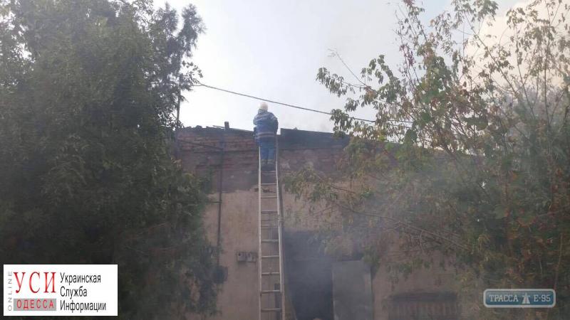 Пожар в Одесской области: на заводе сгорело сырье для изготовления веников (фото) «фото»