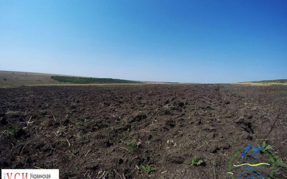 Фермеры распахали еще 100 га заповедной “Тарутинской степи” «фото»