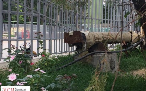 Стройка “Гринвуд”, связанная с Трухановым, оставила ботанический сад без отопления (фото) usionline.com Стройка “Гринвуд”, связанная с Трухановым, оставила ботанический сад без отопления (фото) «фото»