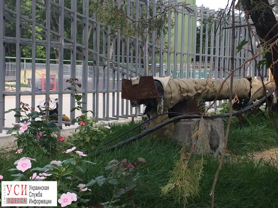 Стройка “Гринвуд”, связанная с Трухановым, оставила ботанический сад без отопления (фото) «фото»