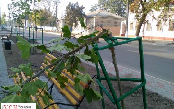 Вандалы сломали в Килие молодые платаны, которые везли из Германии (фото) «фото»