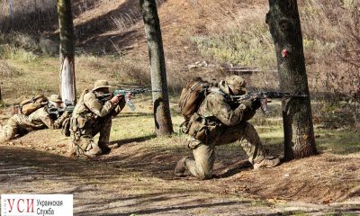 Спецназ военной полиции провел тренировку под Одессой (фоторепортаж) usionline.com Спецназ военной полиции провел тренировку под Одессой (фоторепортаж) «фото»