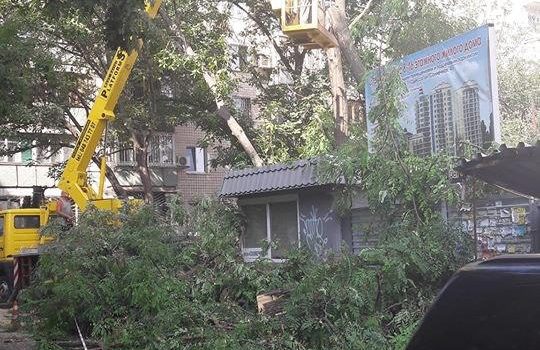 Возле стройки в районе “Аркадии” начали пилить деревья (фото) «фото»