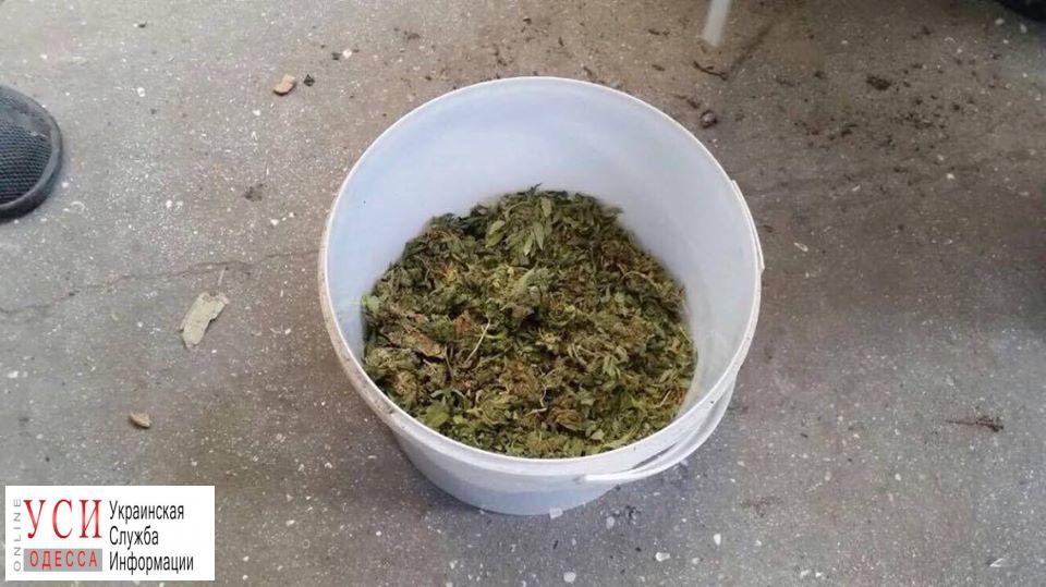 У жителя Приморского района нашли наркотики (фото) «фото»