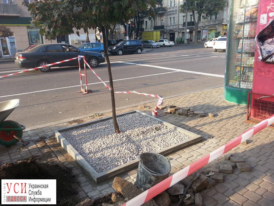 На Тираспольской площади коммунальщики засыпают деревья щебнем – они могут погибнуть (фото) «фото»