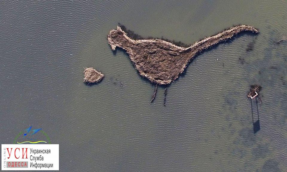 Посреди Тузловских лиманов волонтеры создали искусственный остров в виде фазана (фото) «фото»