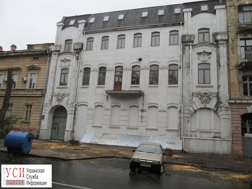 В Одессе изуродованные после ремонта здания деревья полностью вырубили (фото) «фото»