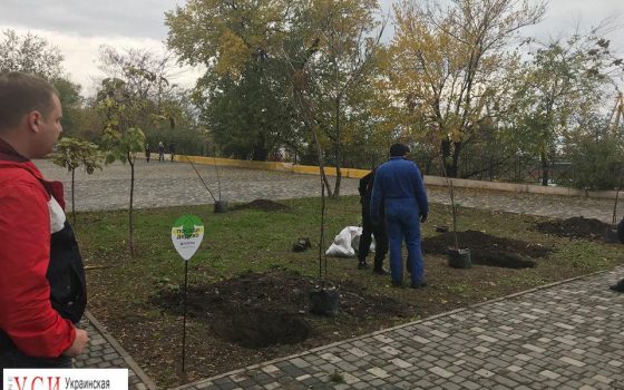 В Одессе посадили сотню деревьев (фото) usionline.com В Одессе посадили сотню деревьев (фото) «фото»