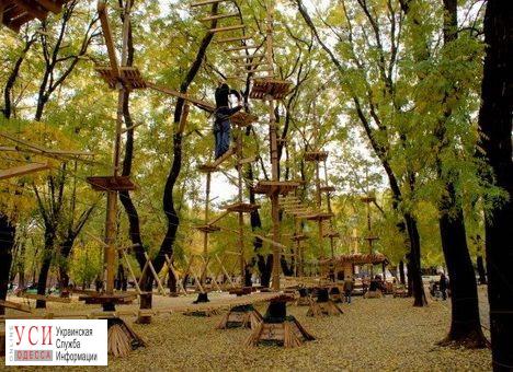 Веревочный парк в Старобазарном сквере убирают: он был построен с нарушениями «фото»