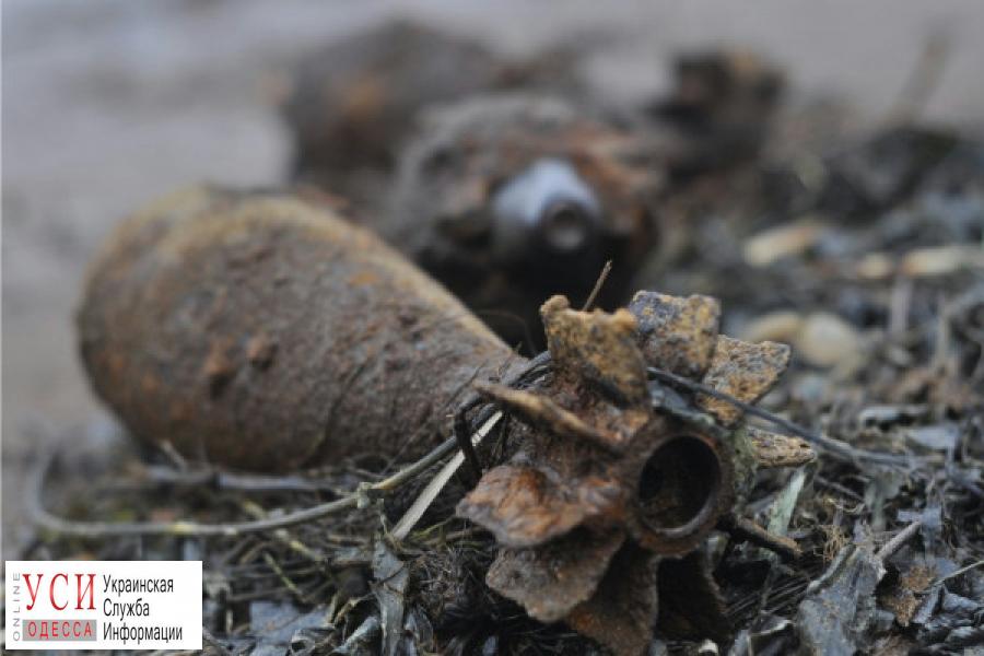В Одесской области нашли несколько десятков снарядов Второй мировой «фото»