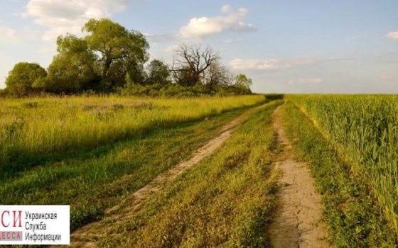 Школе в Одесской области вернули участок, незаконно арендованный фермерами «фото»