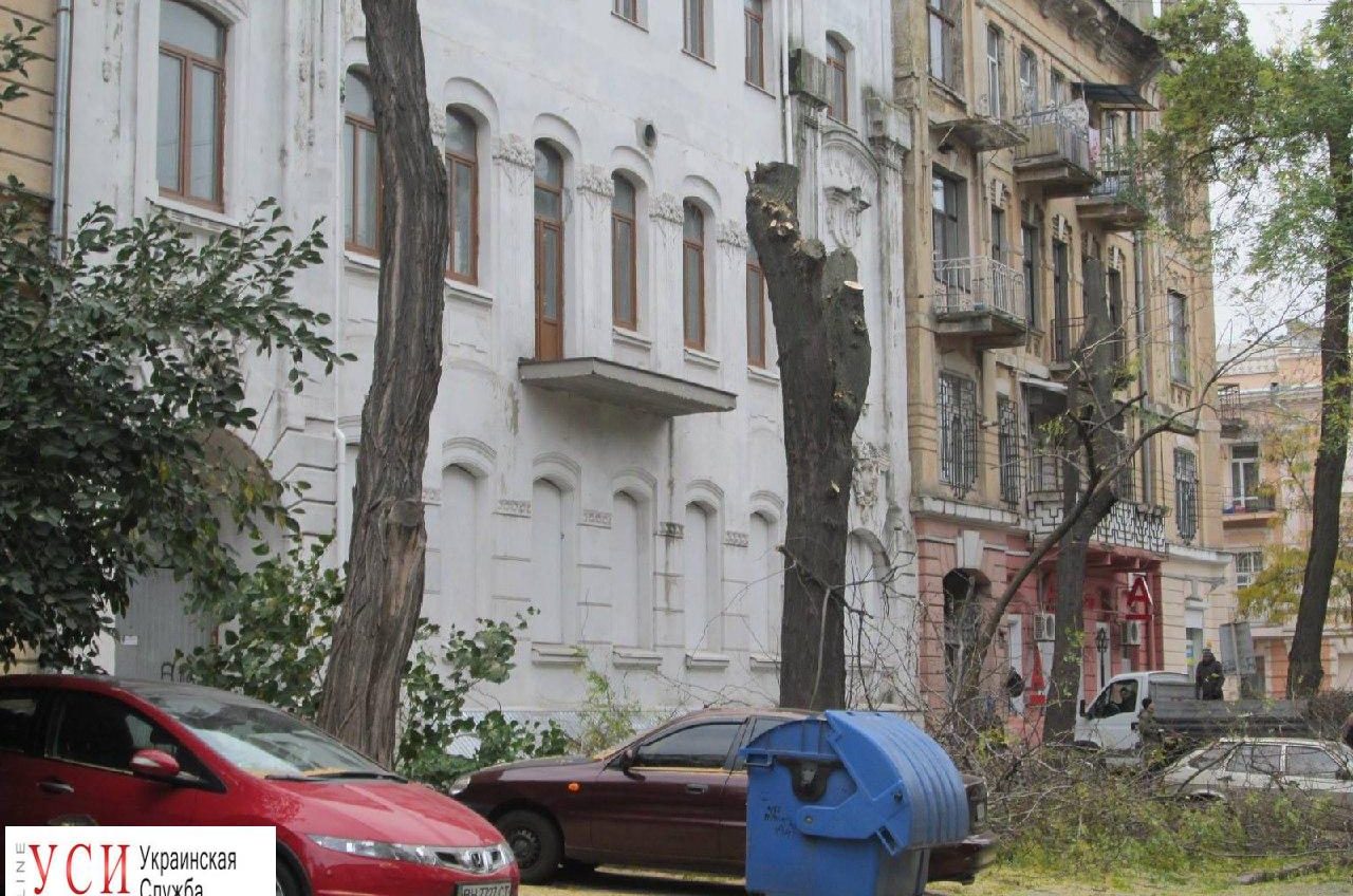На Елисаветинской после ремонта старинного дома изуродовали несколько растущих рядом деревьев «фото»