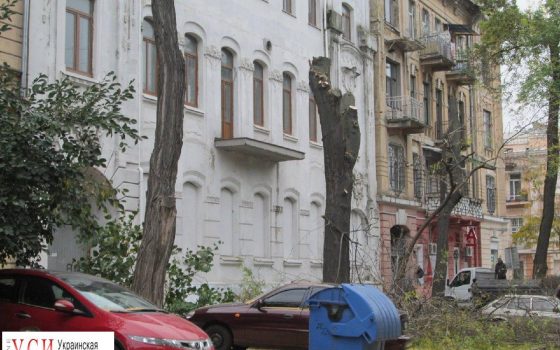 На Елисаветинской после ремонта старинного дома изуродовали несколько растущих рядом деревьев «фото»