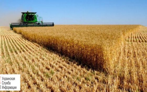 Урожайность в Одесской области снизилась из-за недостатка дождей «фото»