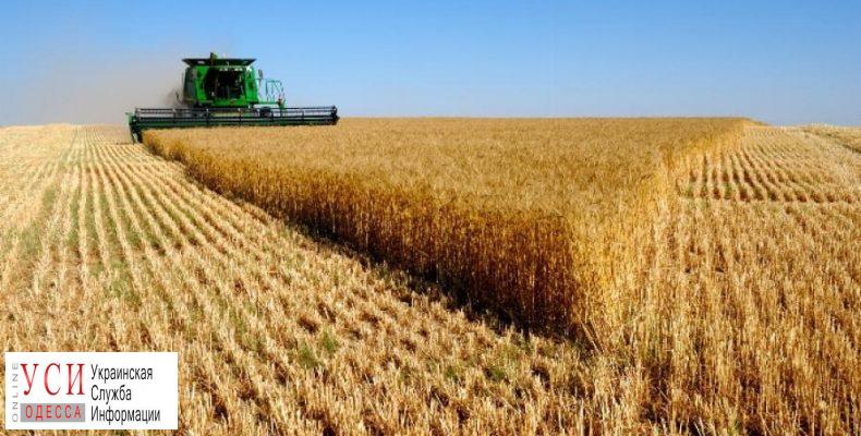 Урожайность в Одесской области снизилась из-за недостатка дождей «фото»