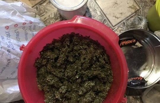 В Одессе перекрыли канал поставки наркотиков в Крым (фото) «фото»