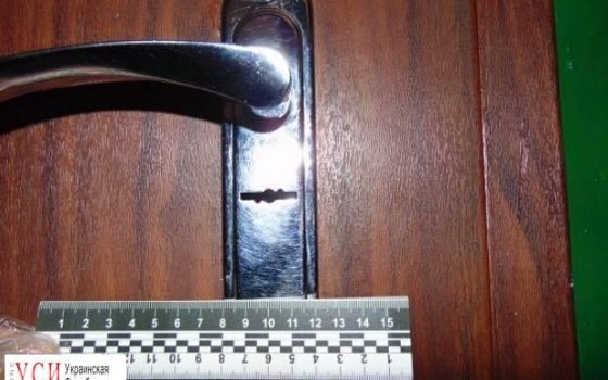 Уроженца Одесской области подозревают в жестоком убийстве киевлянина (фото) «фото»