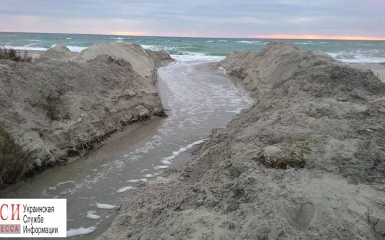 Одесские экологи вручную соединили лиман с морем ради спасения рыбы (фото) «фото»