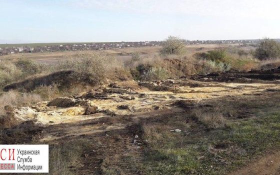 Скотомогильник под Одессой засыпали землей, а подпольный цех обыскивают следователи (фото) «фото»