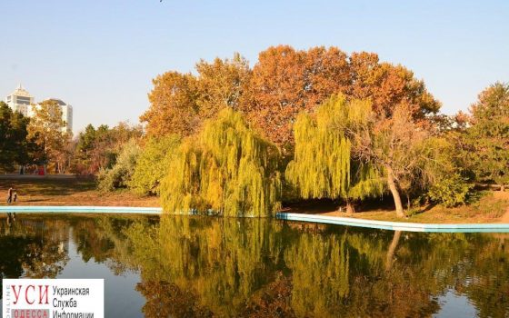 Парк Победы хотят объявить памятником культурного наследия «фото»