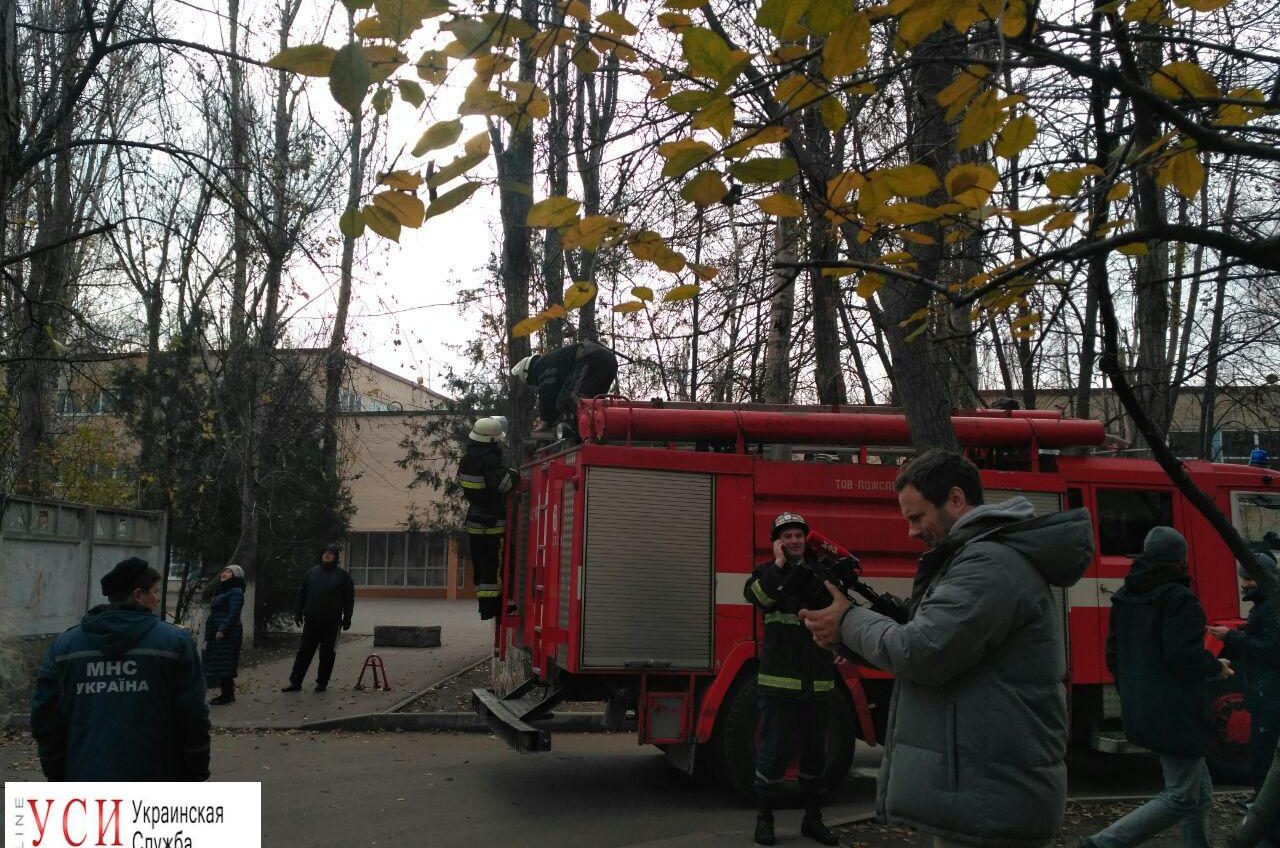 Одесские пожарные пытались спасти кота на высоте 8 этажа (фото) «фото»