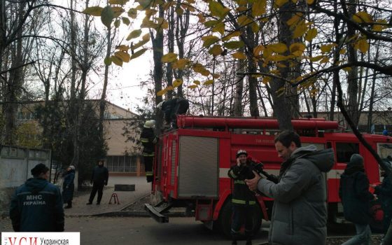 Одесские пожарные пытались спасти кота на высоте 8 этажа (фото) «фото»