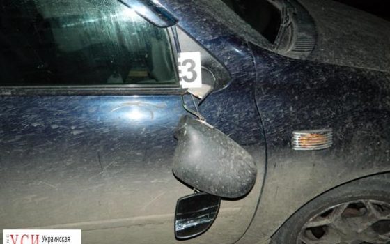 В Подольске пожилая женщина выбежала на дорогу и попала под колеса «фото»