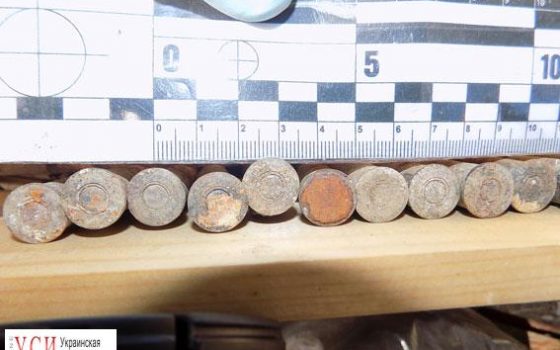 Мужчине грозит до семи лет тюрьмы за 170 патронов (фото) «фото»