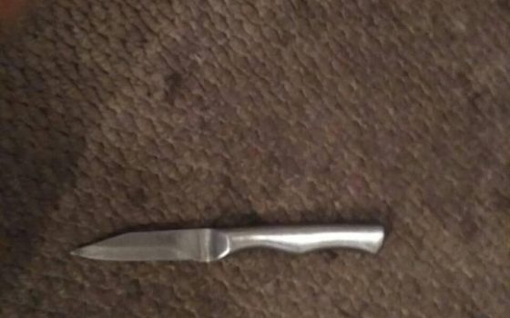 Одессит бросился с ножом на мать любовника своей подружки (фото) «фото»