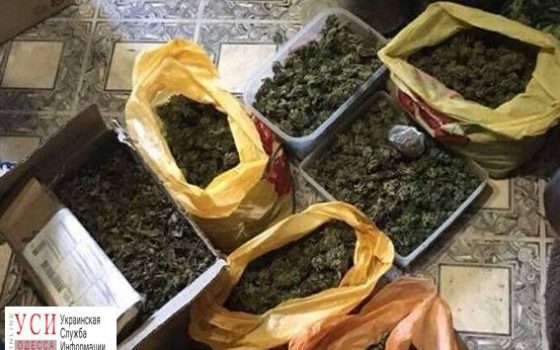 С начала года в Одесской области изъяли более полтонны наркотиков (фото) «фото»