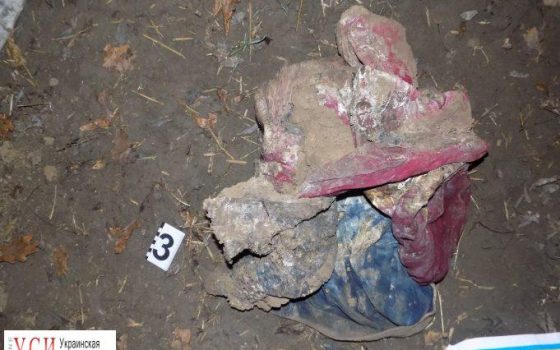 Возле трассы в Одесской области нашли тела двух мужчин (фото) «фото»