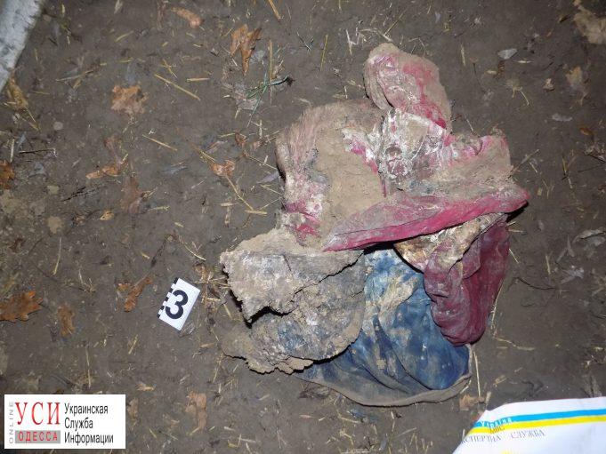 Возле трассы в Одесской области нашли тела двух мужчин (фото) «фото»