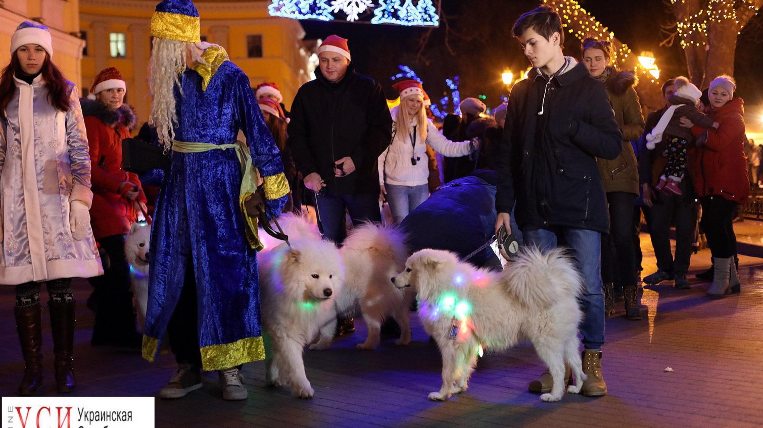 Белый клык на Приморском: в Одессе прошёл марш собак самоедов (фоторепортаж) «фото»