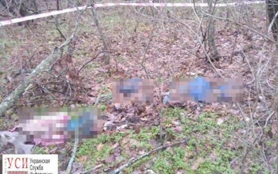 Скелеты пропавших 9 месяцев назад матери и детей нашел охотник (фото) «фото»