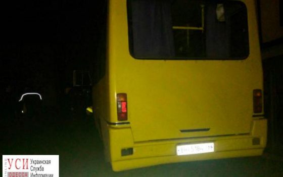 Маршрутка сбила 8-летнюю девочку на пешеходном переходе (фото) «фото»