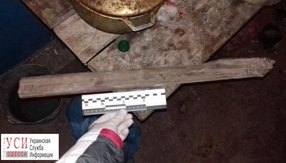 Одесская область: парень забил палкой до смерти молодого любовника матери (фото) «фото»