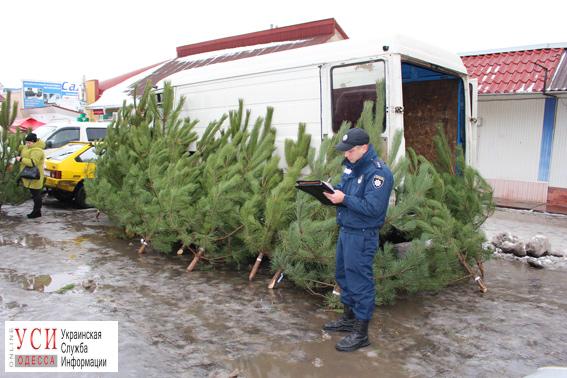 В Одесской области начали штрафовать продавцов елок и петард (фото) «фото»