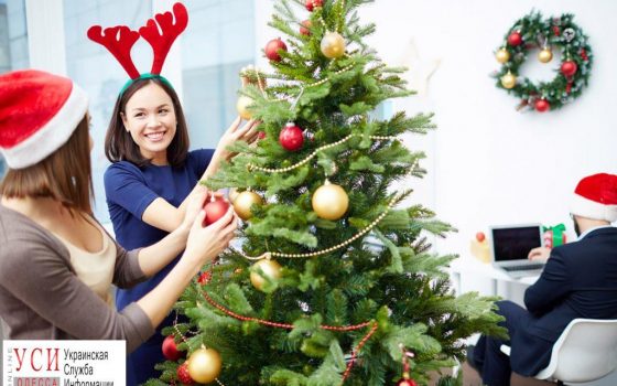 Госзаказ на елки: сколько областные чиновники тратили на новогоднее убранство «фото»