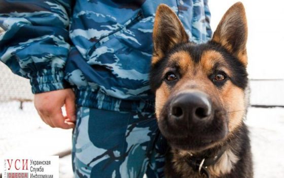 В Тарутино заминировали больницу и суд: всех эвакуировали «фото»