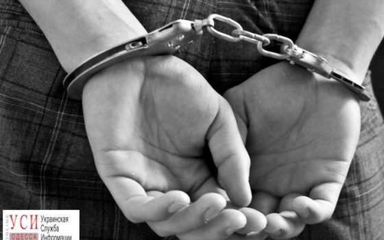 Подозреваемых в ограблении и избиении мужчины посадили под стражу «фото»