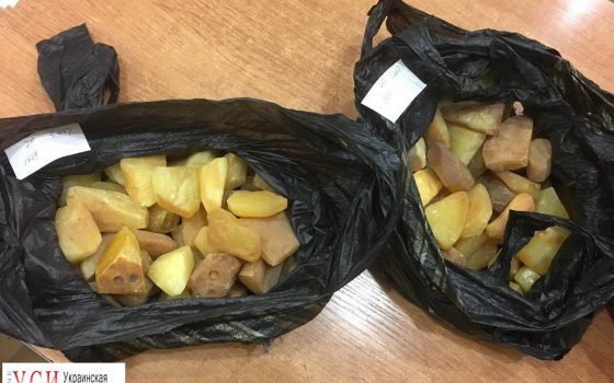 В аэропорту Одессы задержали китайца с янтарем (фото) «фото»