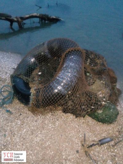 В Одесской области задержали браконьера-водолаза с крупным уловом мидий (фото) «фото»