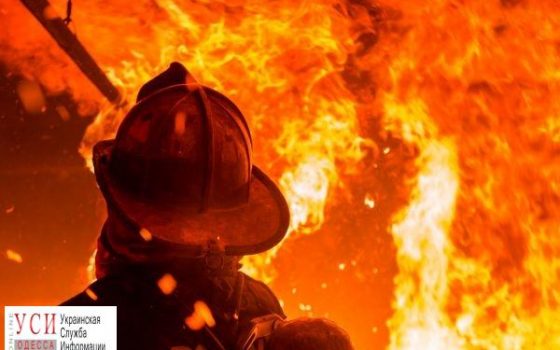 В селе Одесской области в пожаре сгорели 14 свиней «фото»