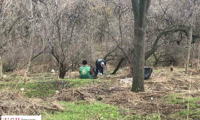 Коммунальщики убрали мусор с зеленых зон на Генуэзской и в районе Французского бульвара (фото) «фото»