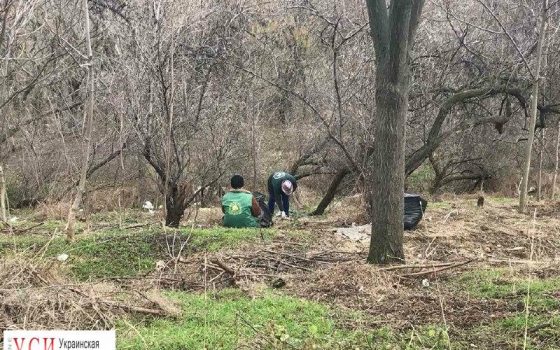 Коммунальщики убрали мусор с зеленых зон на Генуэзской и в районе Французского бульвара (фото) «фото»