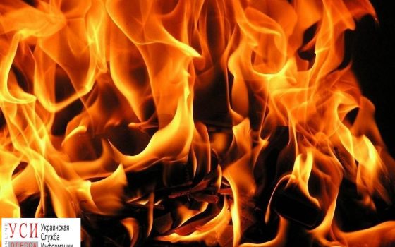 В Одесской области на пожарах обнаружили еще три трупа «фото»